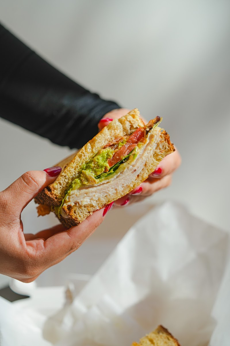 Blind Tiger Coffee Roasters- Ybor City Cafe