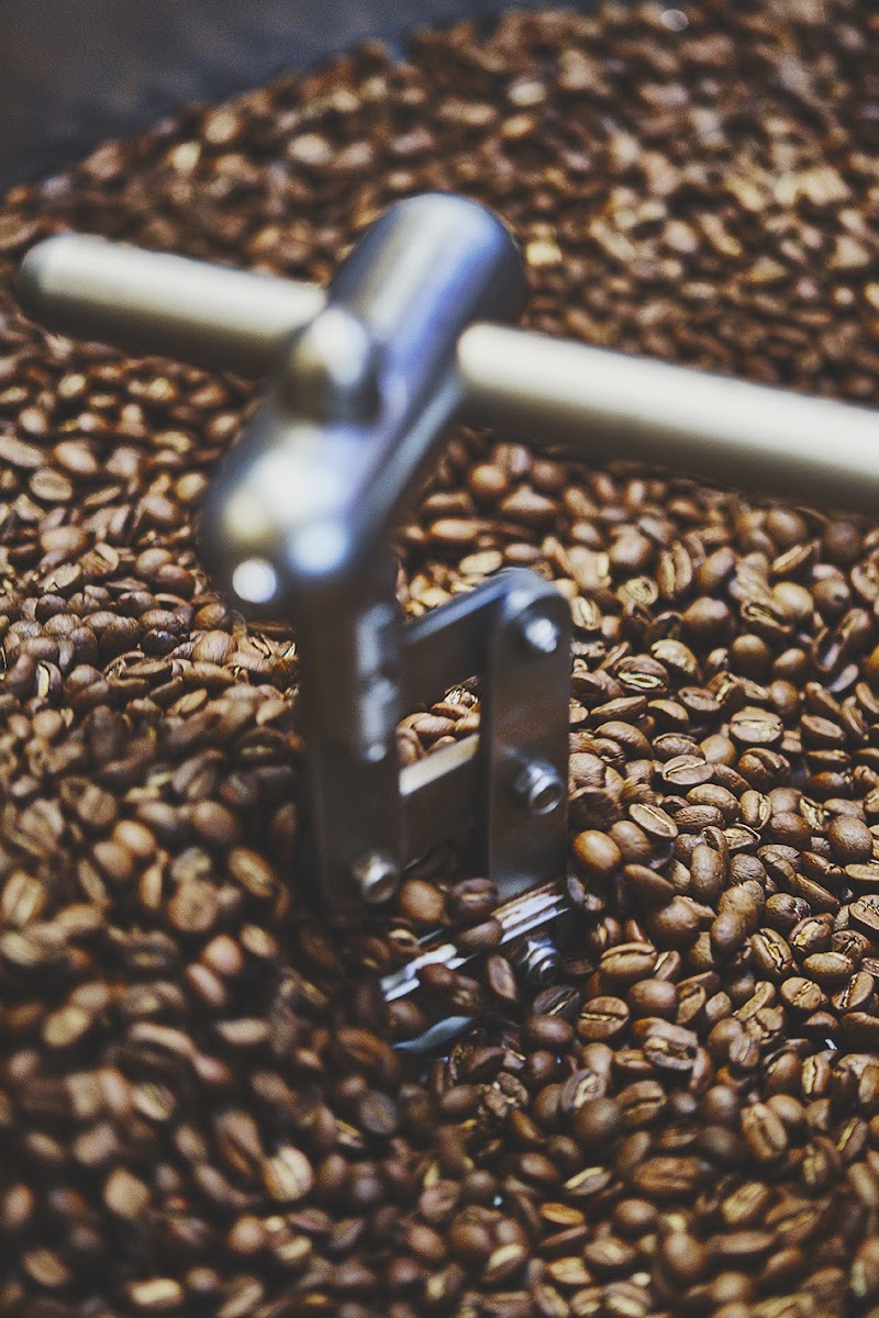 The Coffee Apothecary