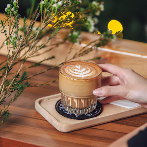 Waterbean Coffee Exquisite