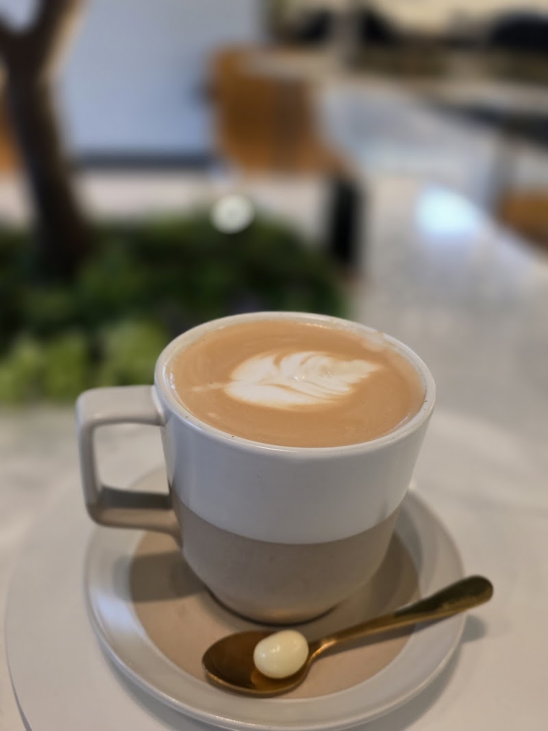 Waterbean Coffee Exquisite