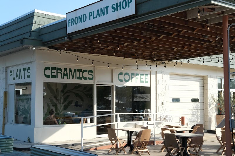 Desnudo Coffee: South Lamar