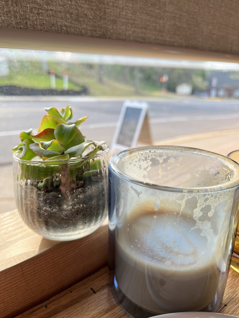 Cafe Haven - Tuscaloosa