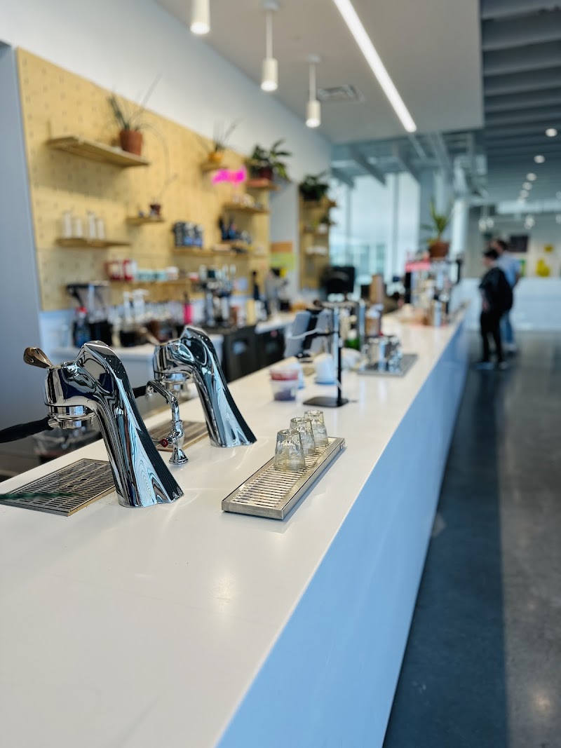 Arsaga's at the School of Art