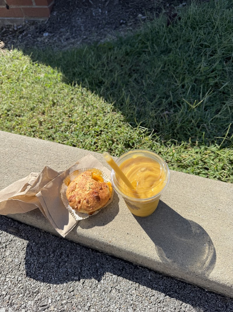 Heine Brothers Coffee - Gardiner Lane Shopping Center