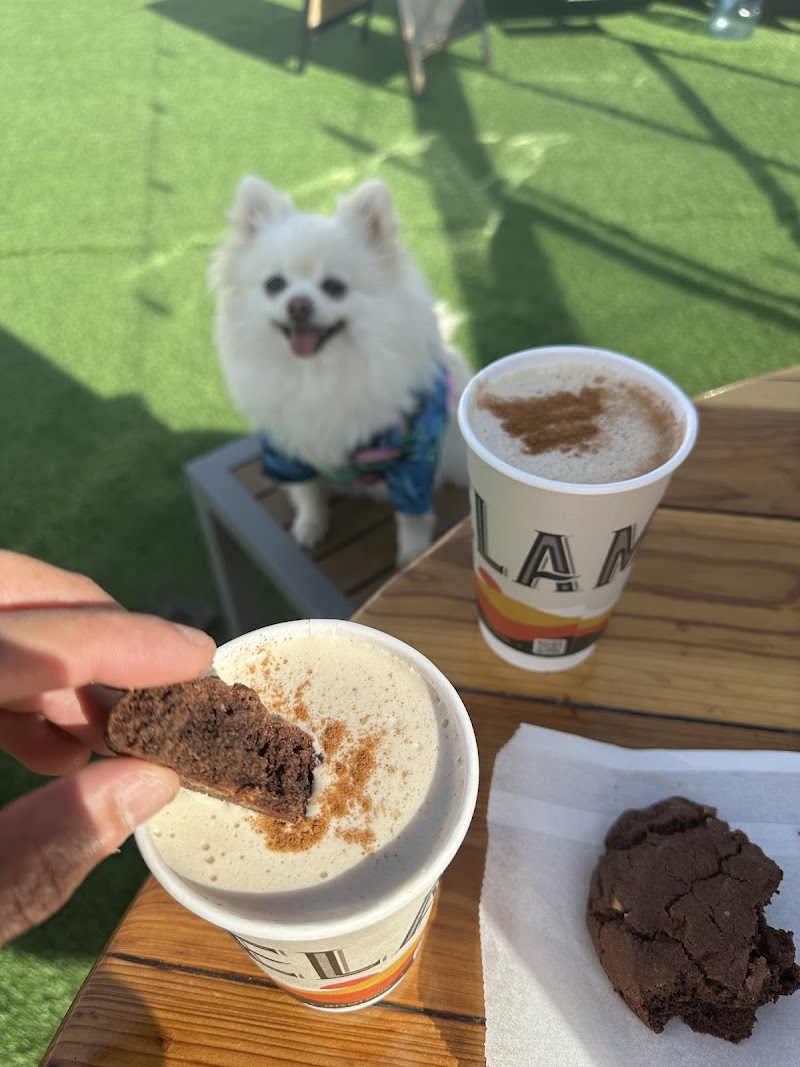 Manivela Coffee Truck