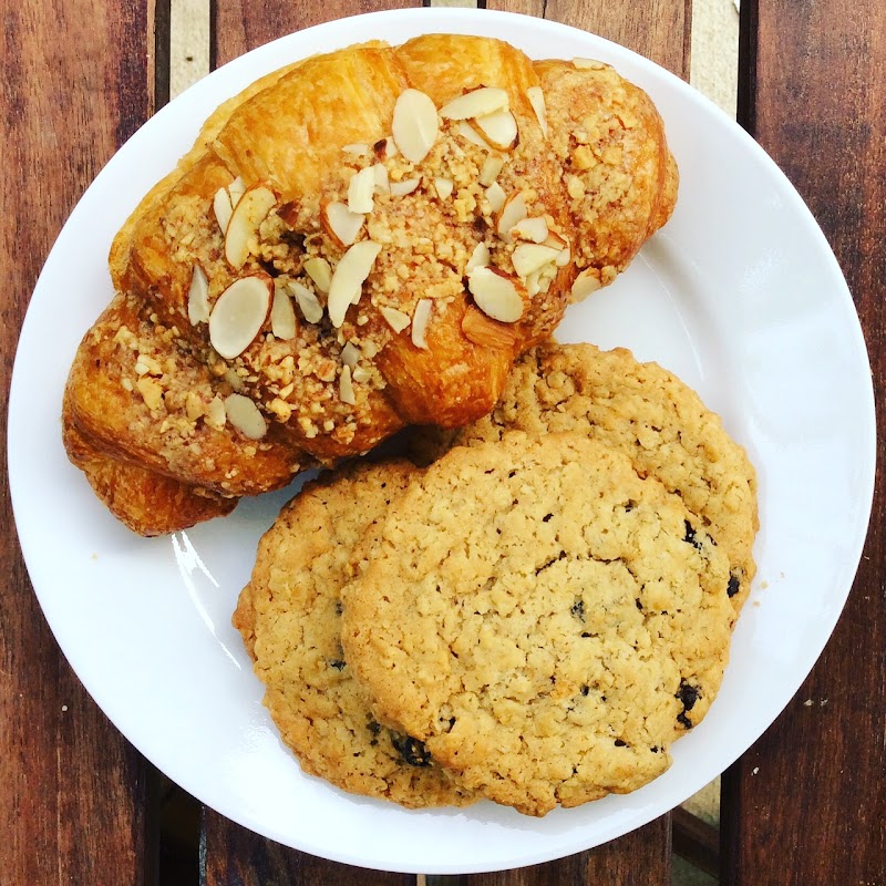 Blue Donkey Coffee Co.