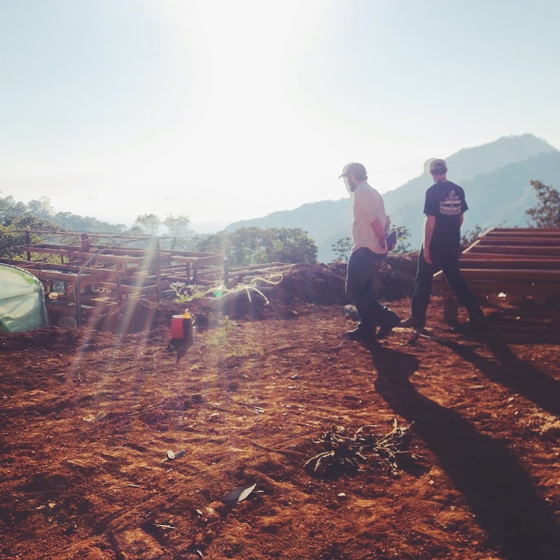 Crop to Cup Coffee Importers