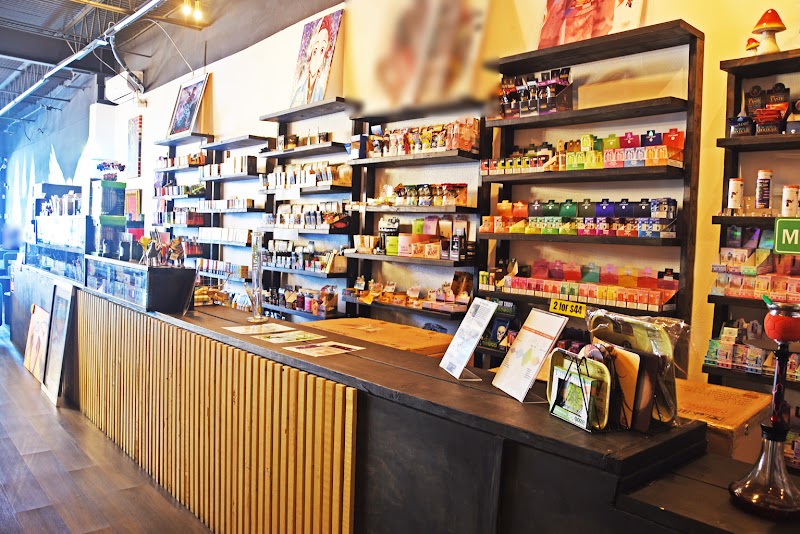 Insomnia ISG Kava Bar and Lounge