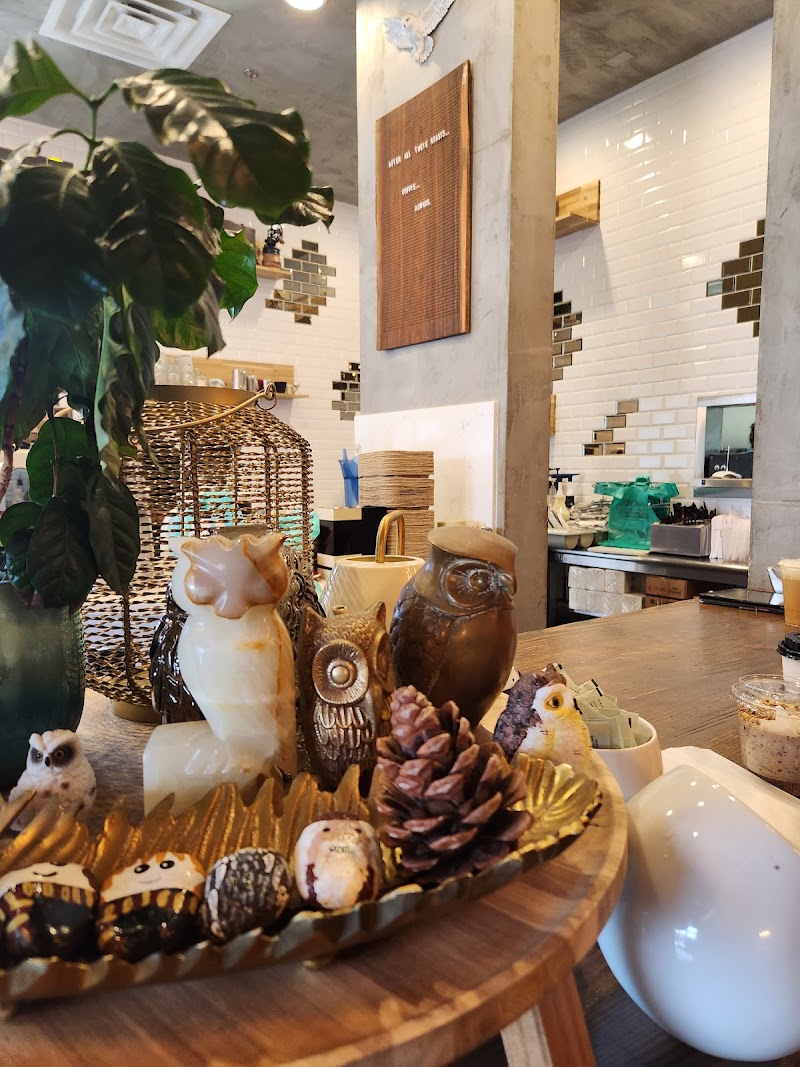 Bad Owl Coffee Roasters