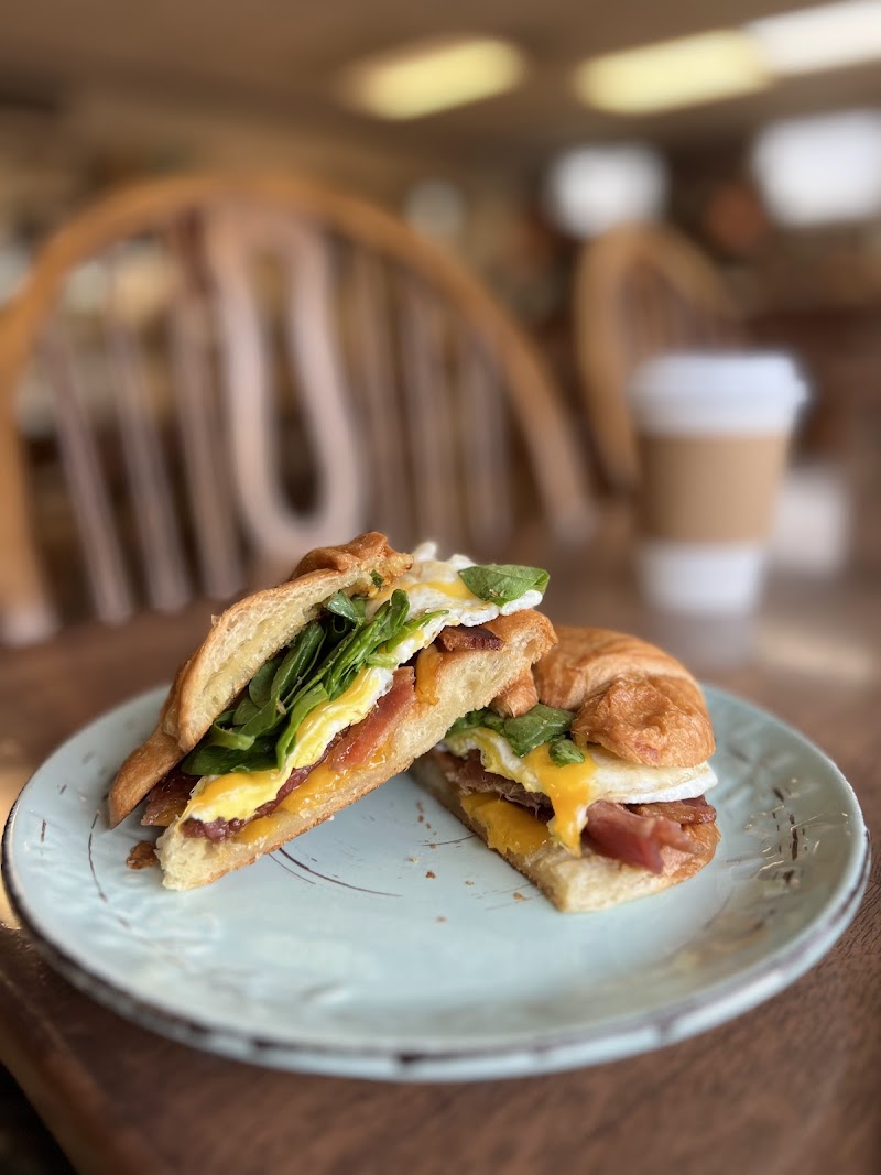 Buckin Bean Coffee Roasters