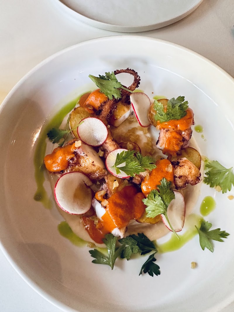 SUCHNESS dining room