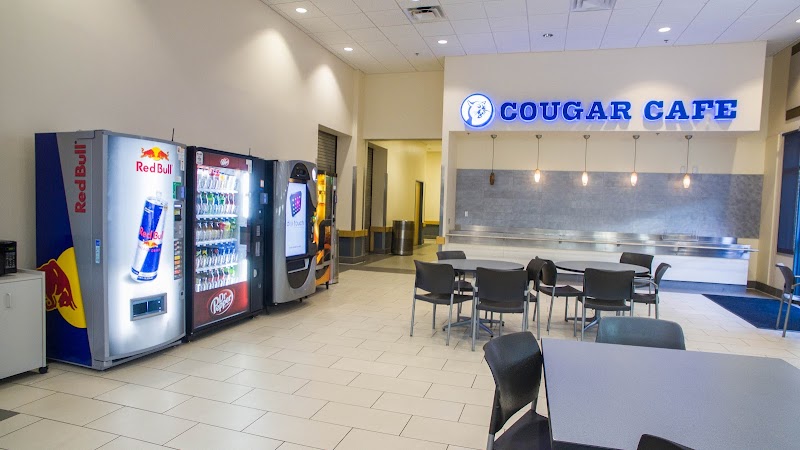 Cougar Cafe