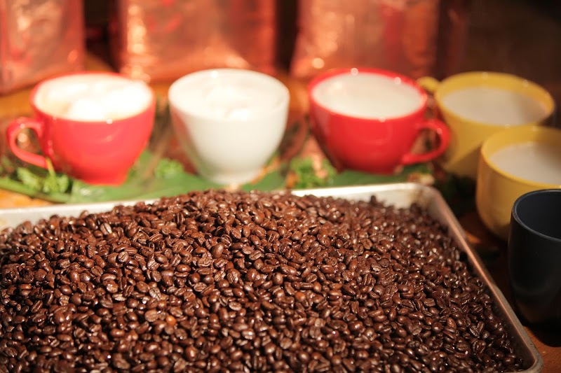 Dr. Insomniac's Fine Coffee, Tea, Smoothies & Cafe