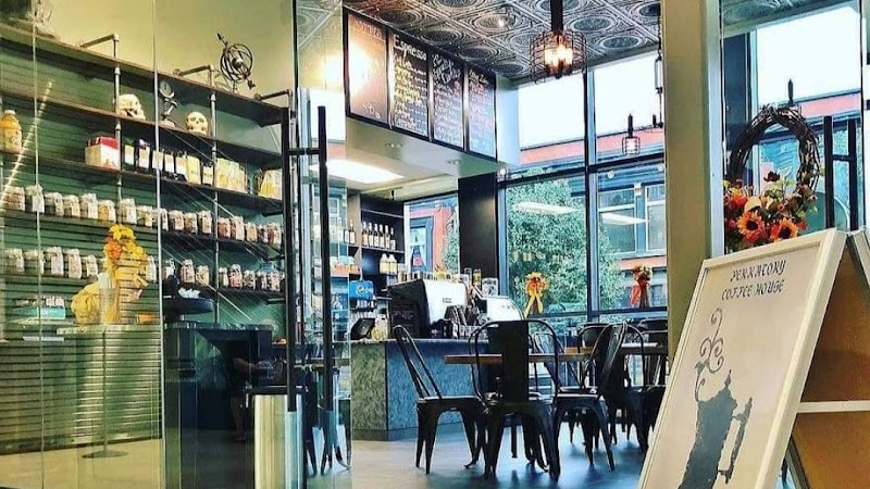 Perkatory Coffee House
