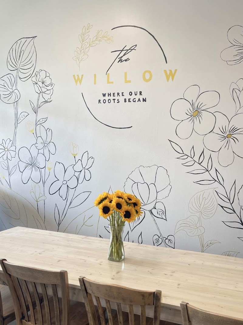 The Willow Where Our Roots Began