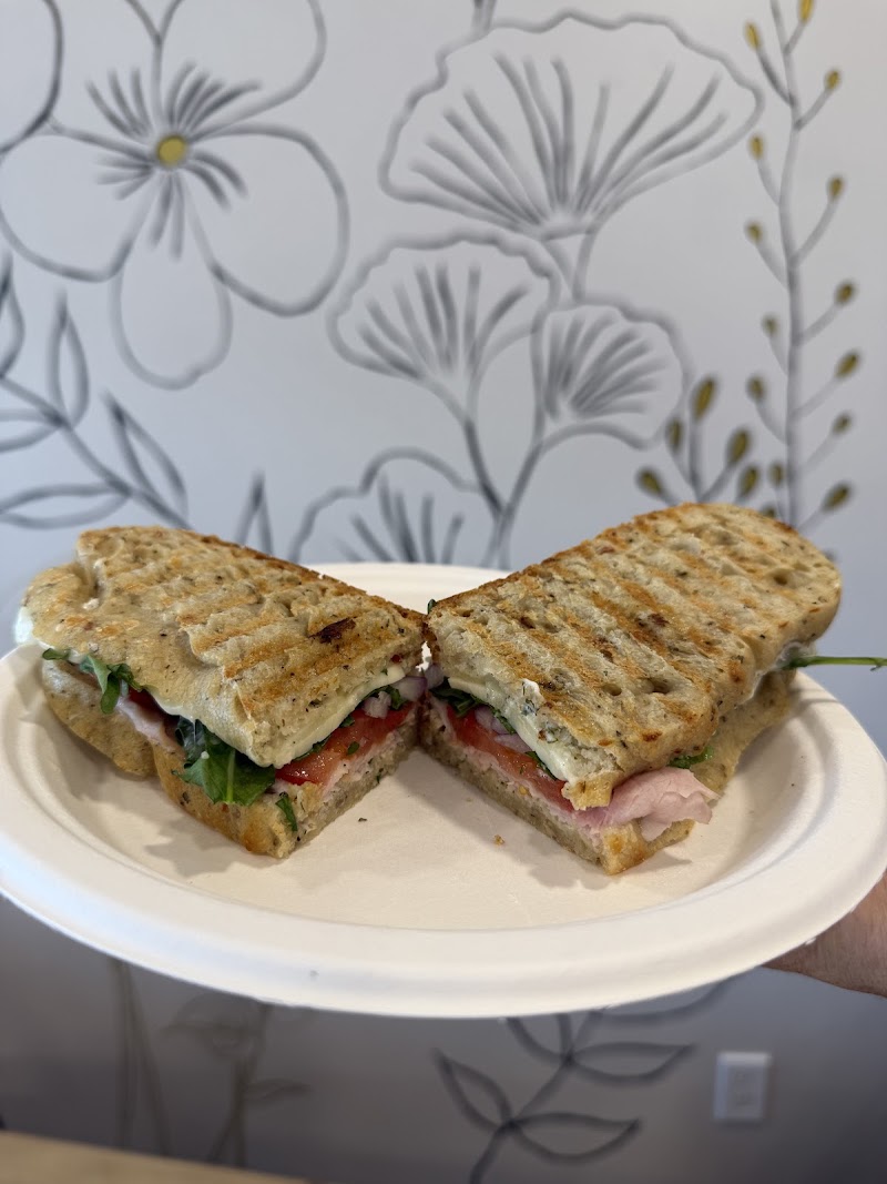 The Willow Where Our Roots Began