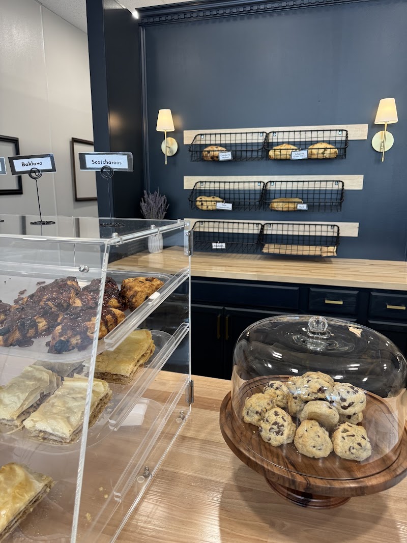 The Willow Where Our Roots Began