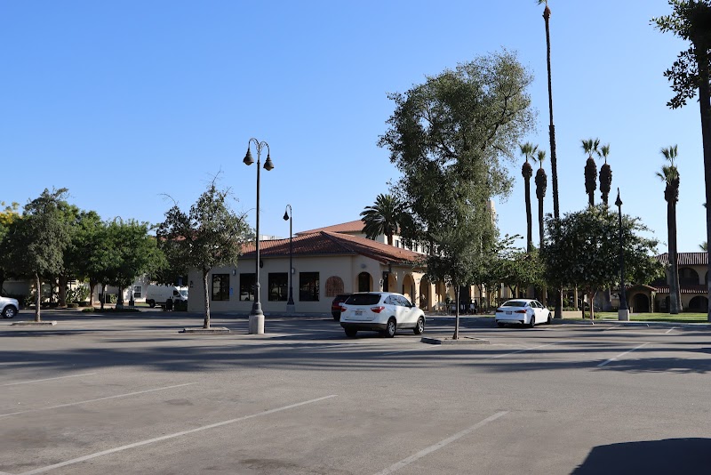 The Palm: Study Studio & Coffee