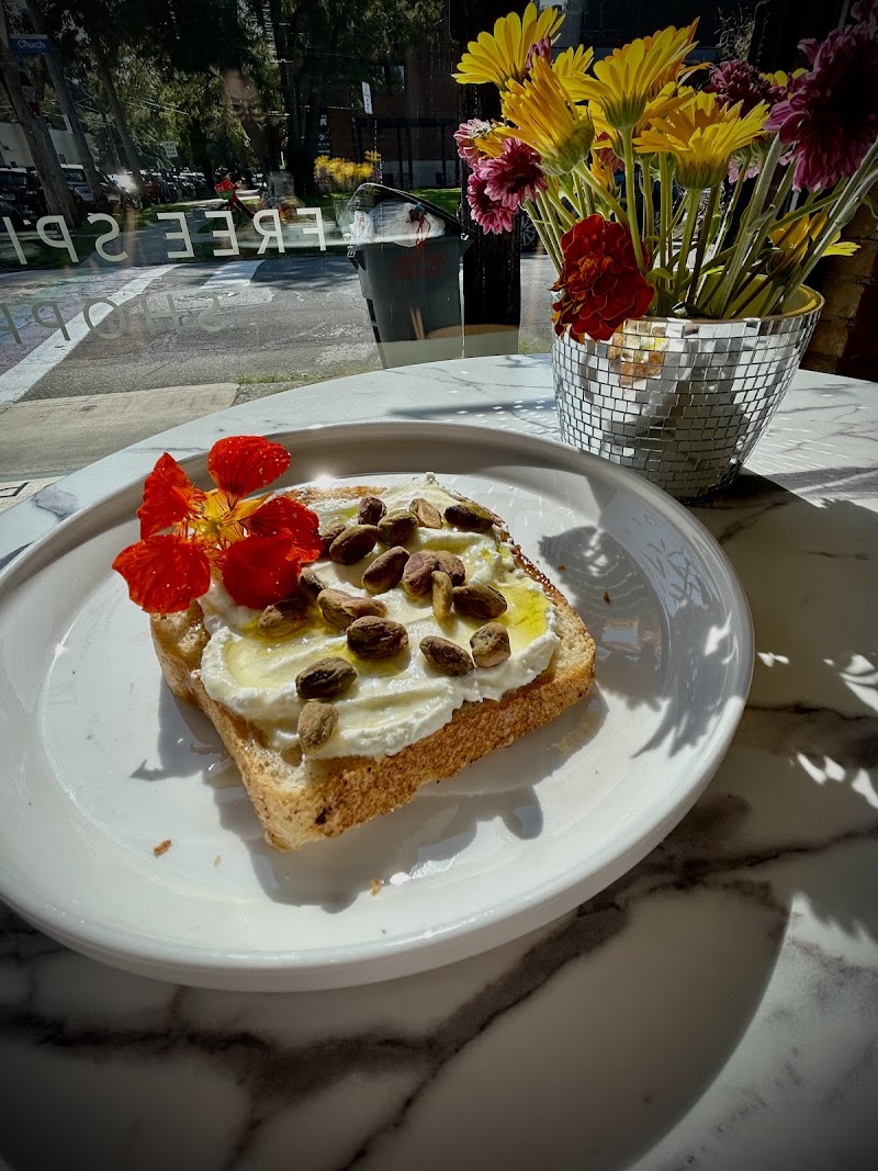 Verbena Free Spirited Shoppe