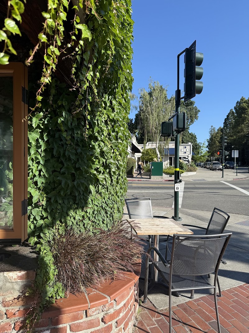 Panama Bay Coffee Co