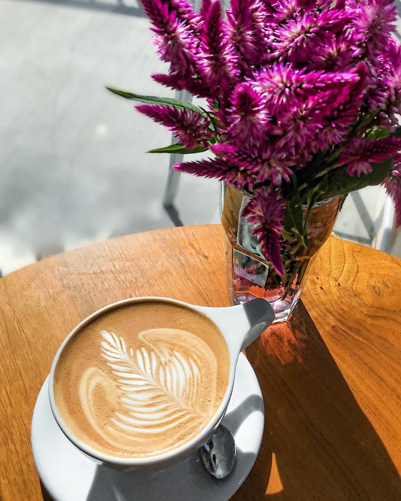 Panther Coffee - MiMo