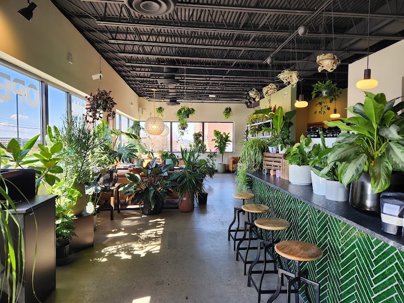 Café Conmigo - 1659 Cranberry