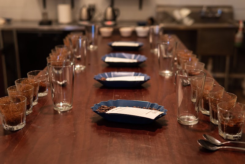 Novo Coffee (Roastery + Supply)