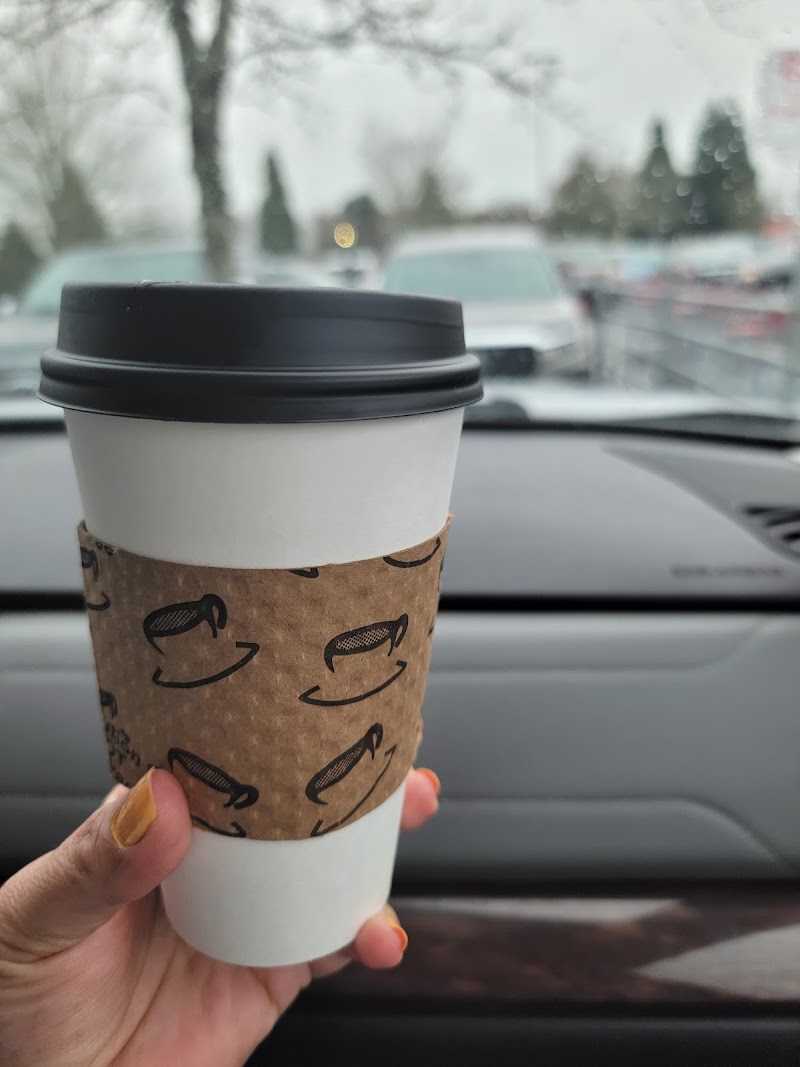 Ladybug Bikini Espresso