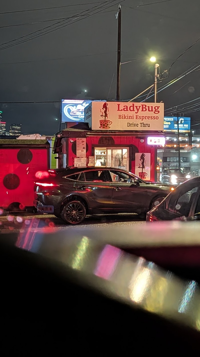 Ladybug Bikini Espresso