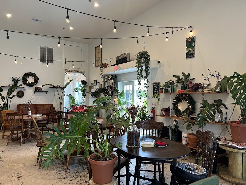 Roots Plants + Coffee