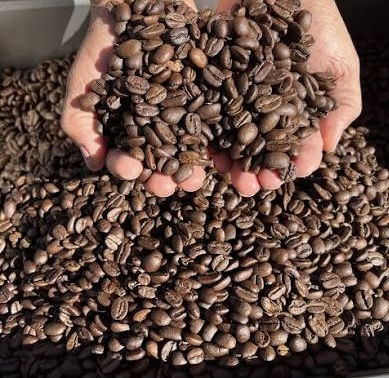 Grindhead Coffee Company