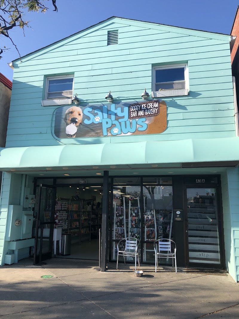 Salty Paws Doggy Ice Cream Bar And Bakery