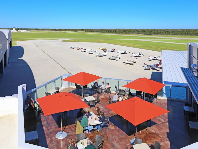 Black Walnut - Conroe