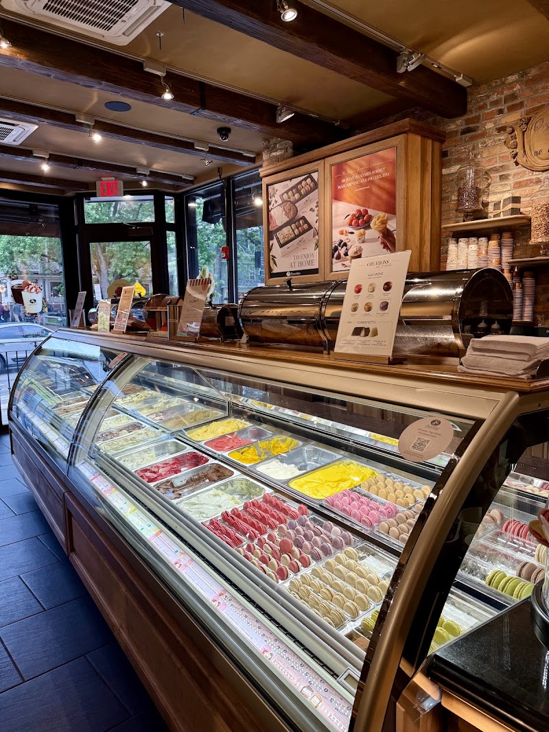 Amorino Gelato - Cambridge Harvard Square