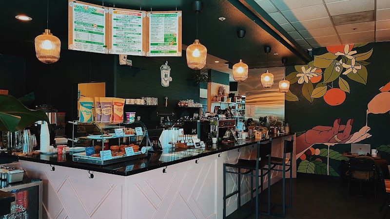 Sociology Coffee Bar (Folsom)