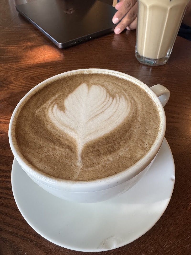 The Great North (Coffee Shop & Roastery)