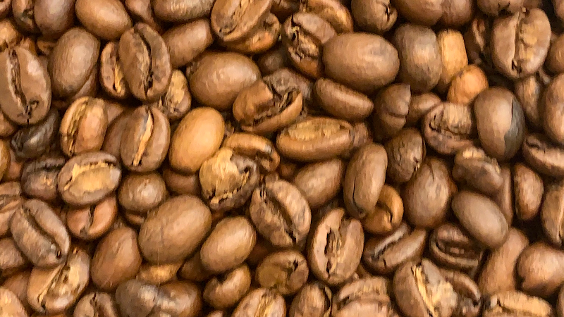 DEER CAMP COFFEE ROASTING COMPANY & OUTFITTERS