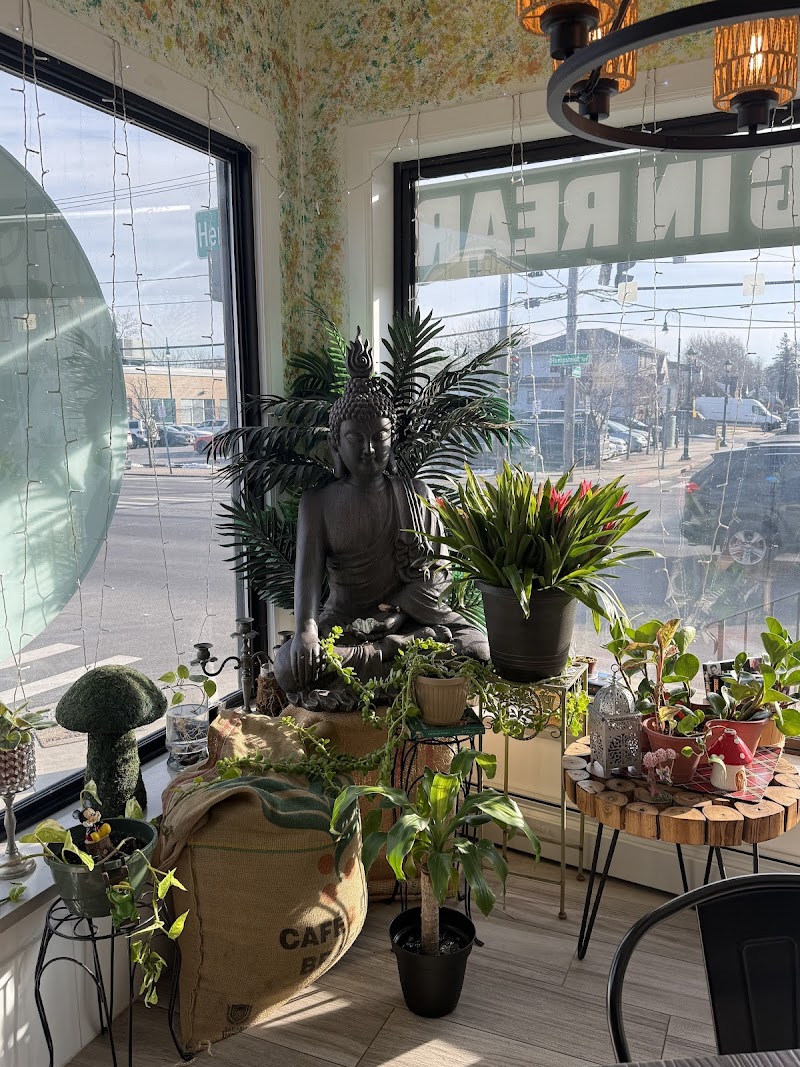 Vida Coffee Shop New York