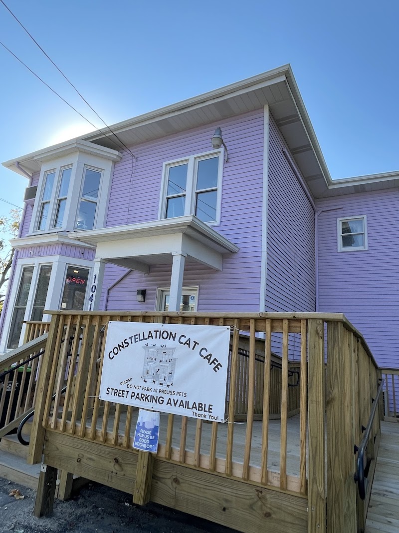 Constellation Cat Cafe