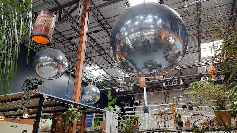 Stargazer Cocktails & Coffee