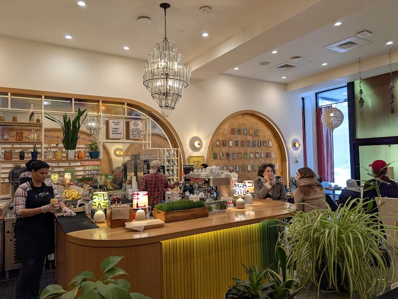 Life Alive Organic Cafe Back Bay