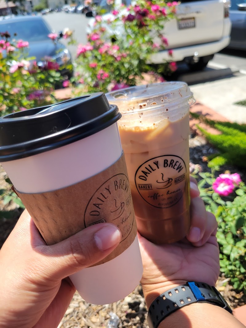 DAILY BREW COFFEE HOUSE, BAKERY, & ROASTERY