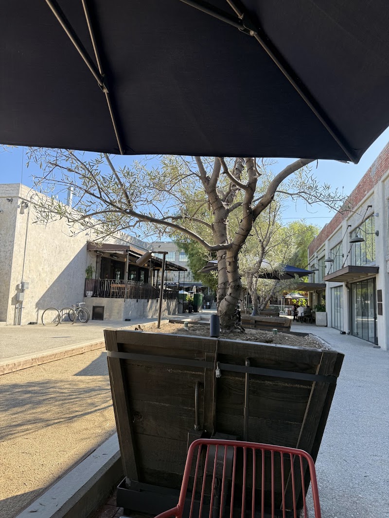 Cognoscenti Coffee Roasters