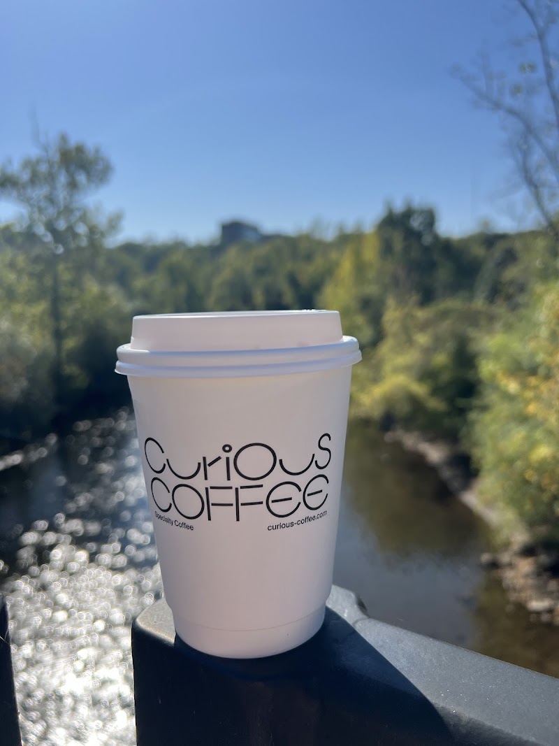 Curious Coffee
