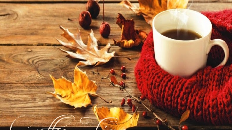 The Mud Hole of the Black Hills