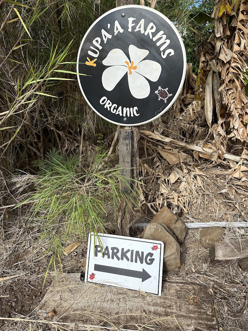 Maui Chocolate Coffee Tours