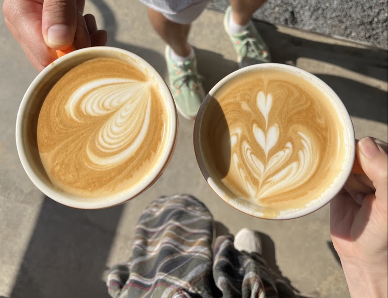 Theory Coffee Company