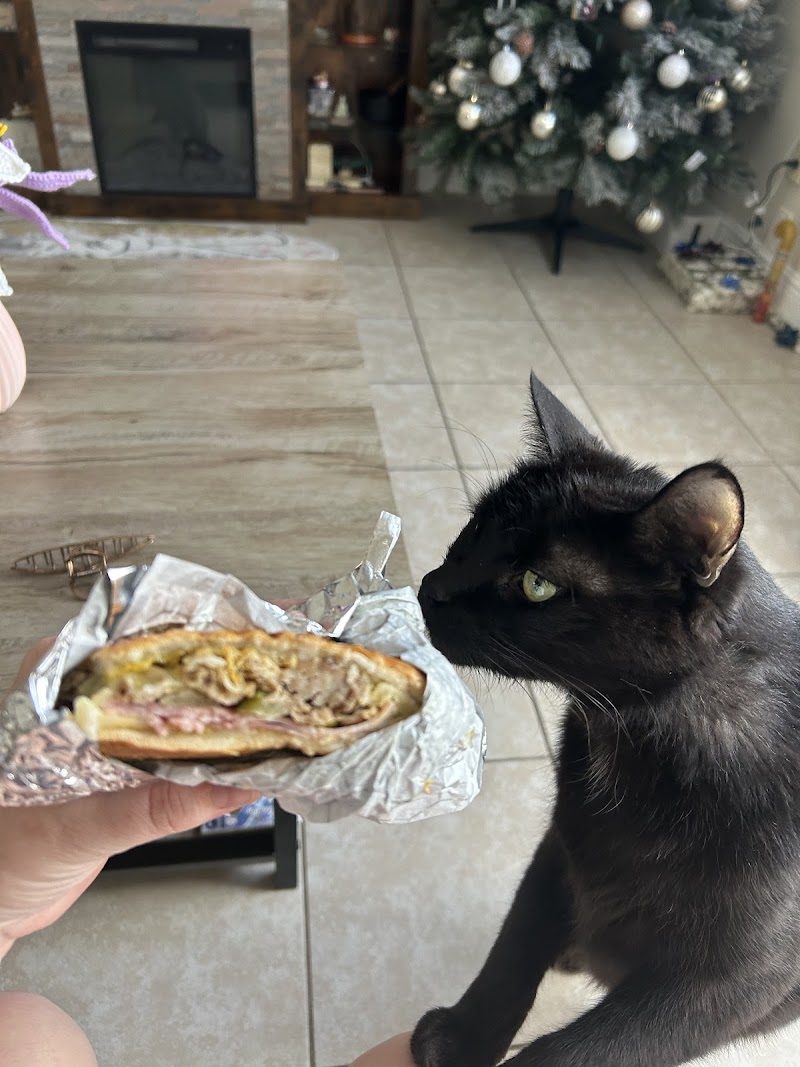 Coffee Touch: Sandwich-Churros-Arepas