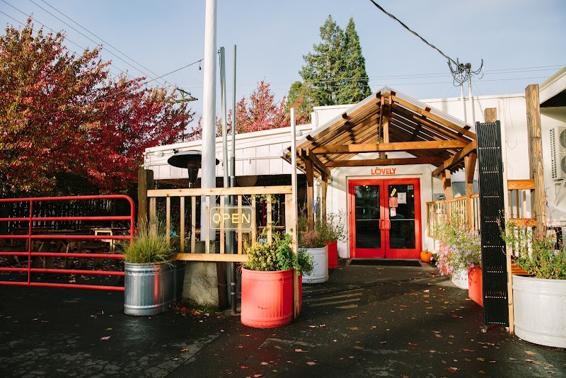 Lovely All Day Café