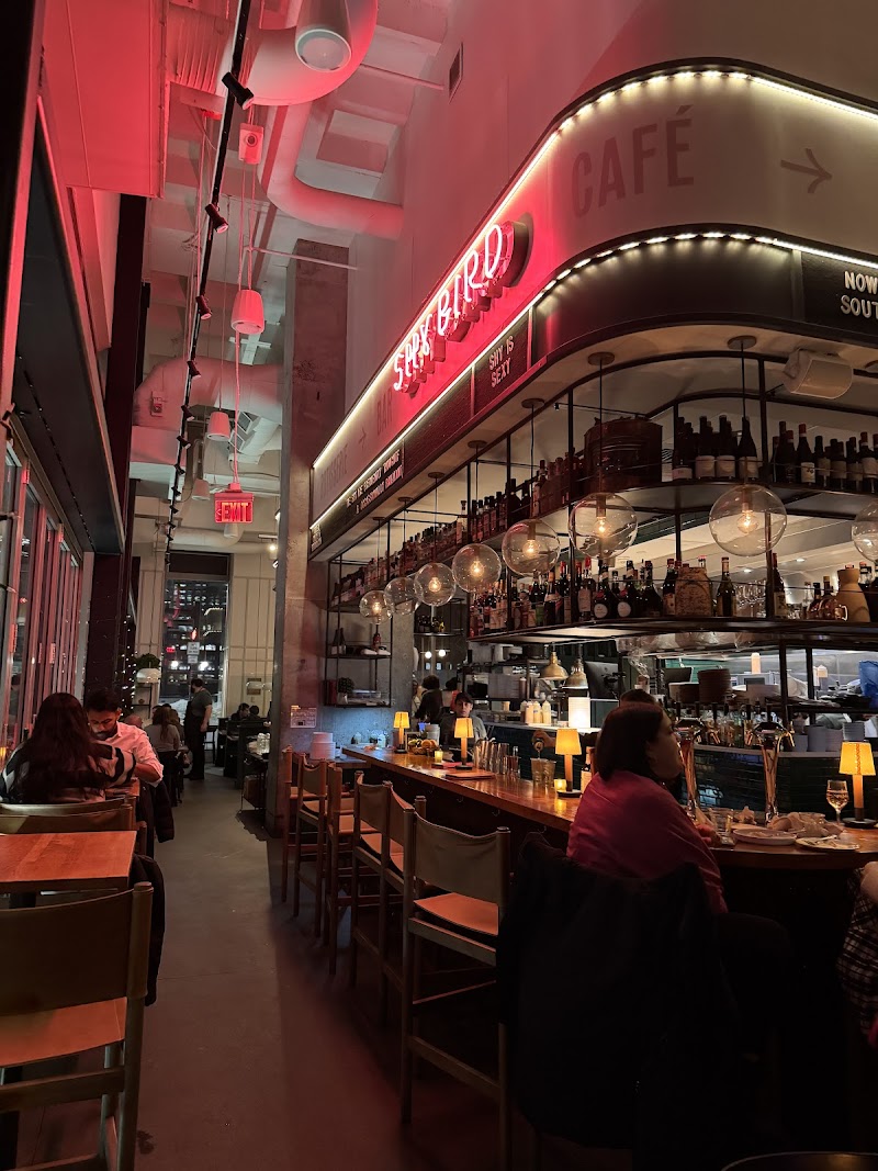 Shy Bird - Kendall Square